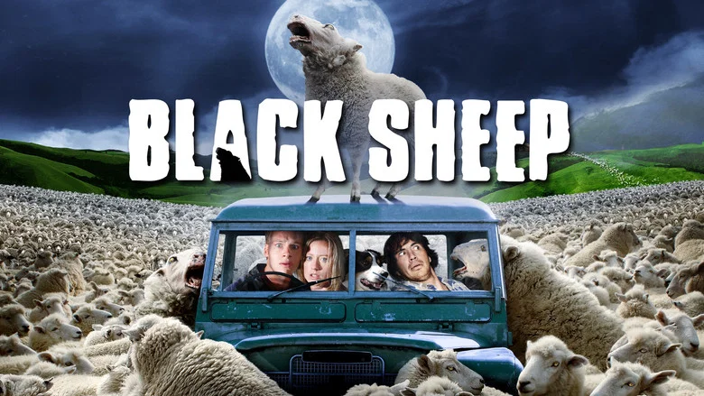 Black Sheep still