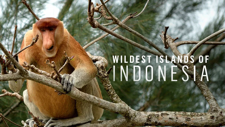 Wildest Islands of Indonesia still