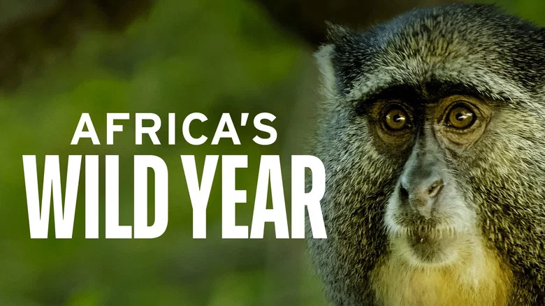 Africa's Wild Year still