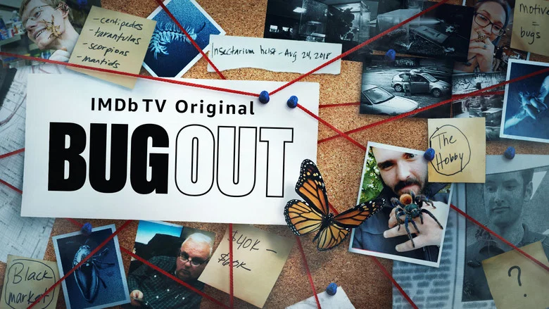 Bug Out still
