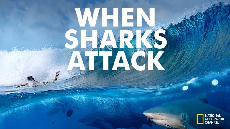 When Sharks Attack still