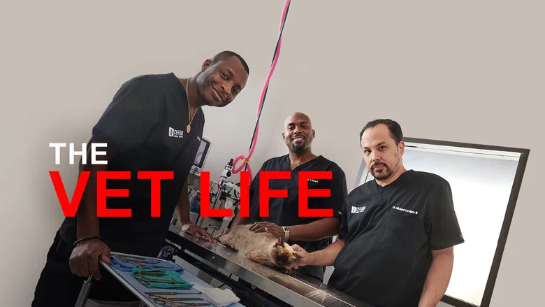 The Vet Life still