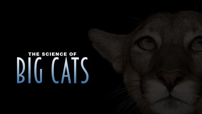 Big Cats still