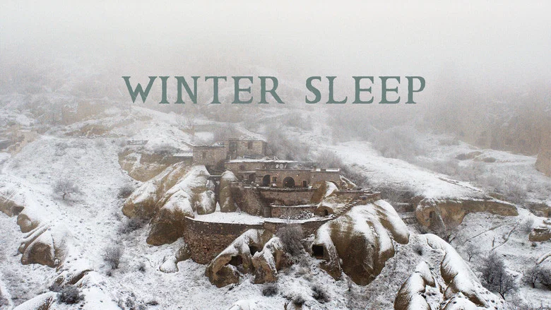 Winter Sleep still