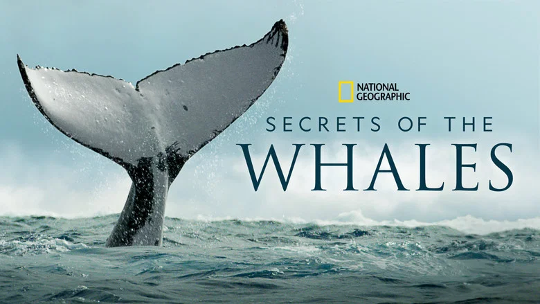 Secrets of the Whales still