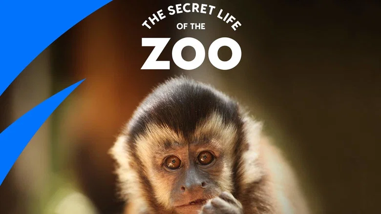 The Secret Life of the Zoo still