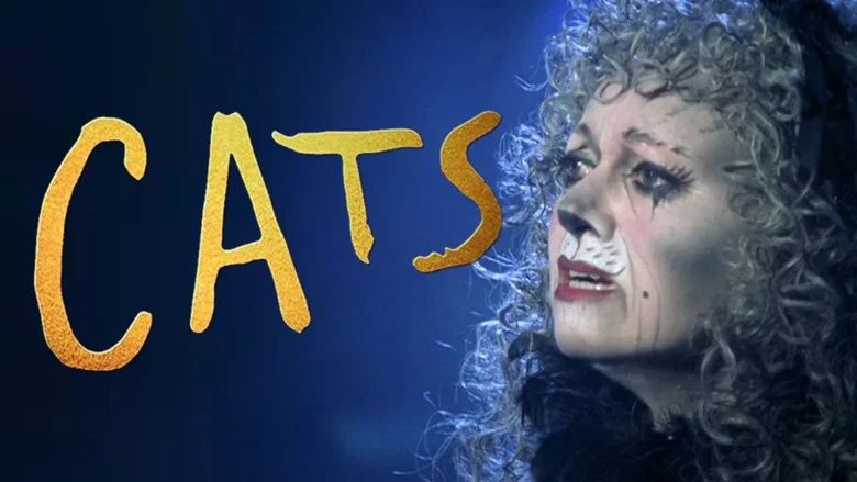Cats still