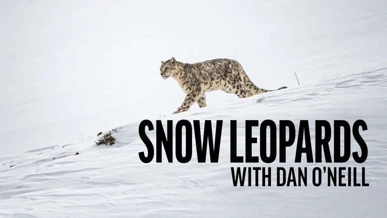 Snow Leopards with Dan O'Neill still