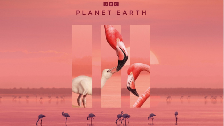 Planet Earth II still