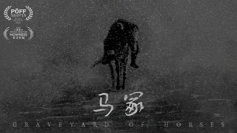 Graveyard of Horses still