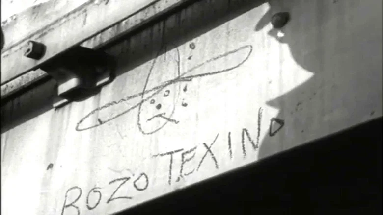 Who Is Bozo Texino? still