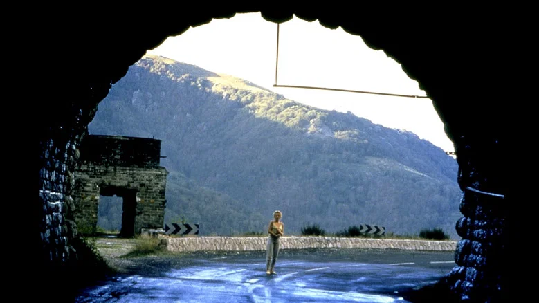 The Vanishing still