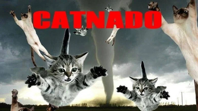Catnado still