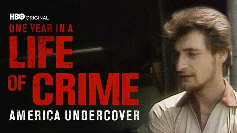 One Year in a Life of Crime still
