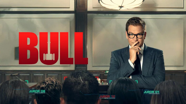 Bull still