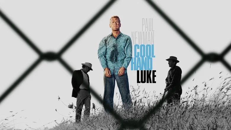 Cool Hand Luke still