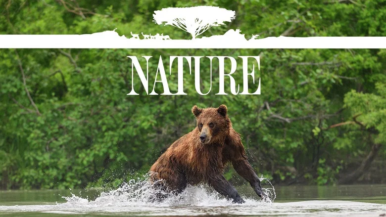 Nature still