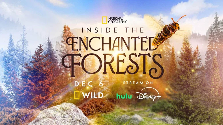 Inside the Enchanted Forests still