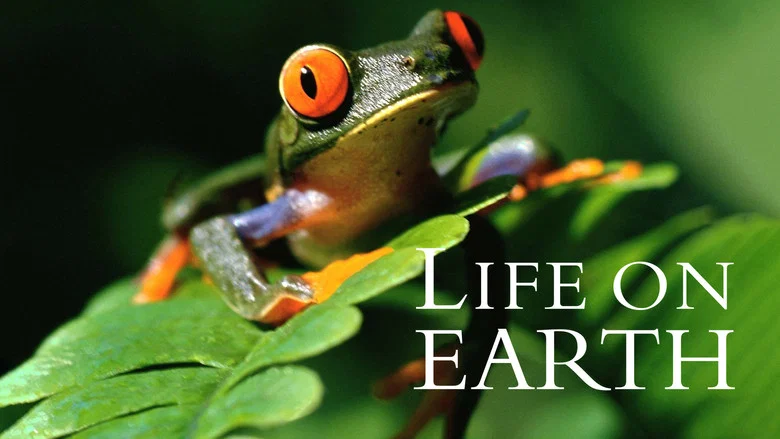 Life on Earth still