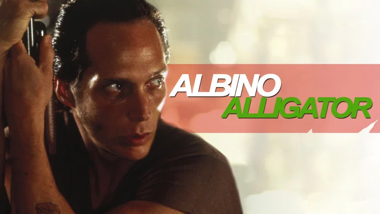 Albino Alligator still