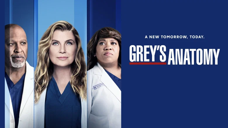 Grey's Anatomy still