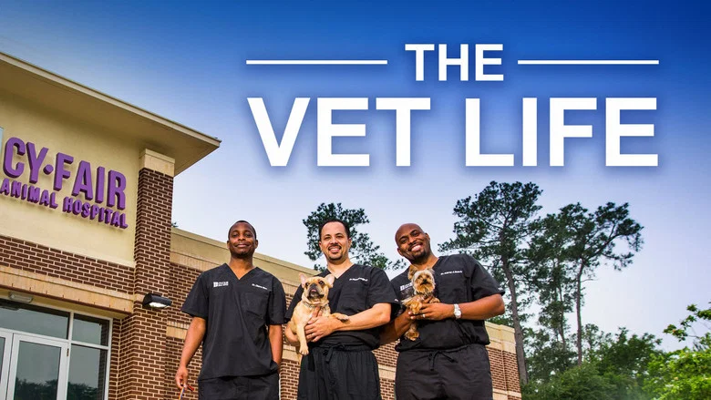The Vet Life still