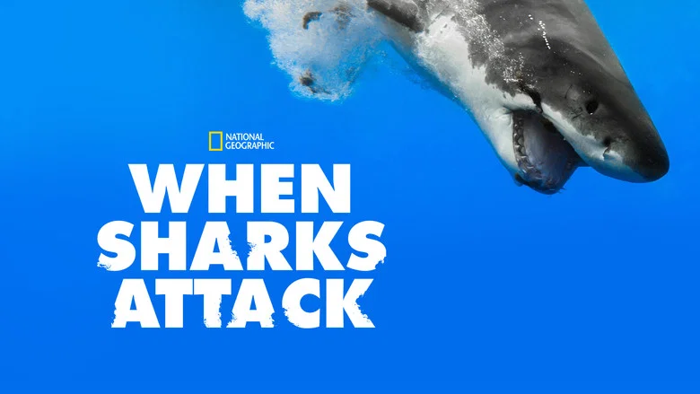 When Sharks Attack still