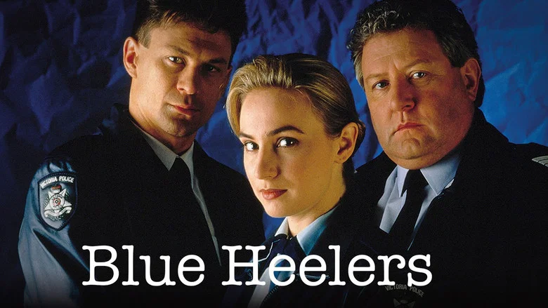 Blue Heelers still
