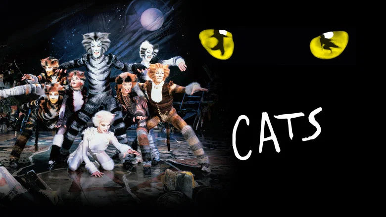Cats still