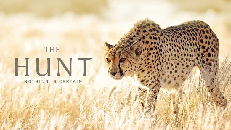 The Hunt still