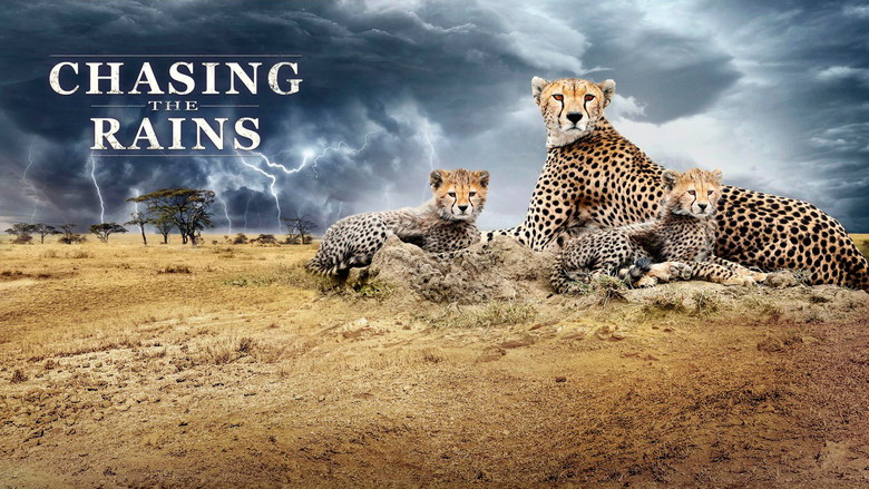 Chasing the Rains still