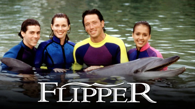 Flipper still