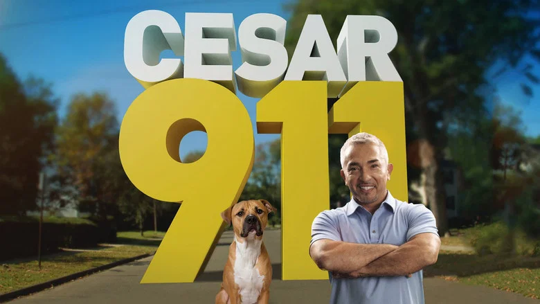Cesar 911 still