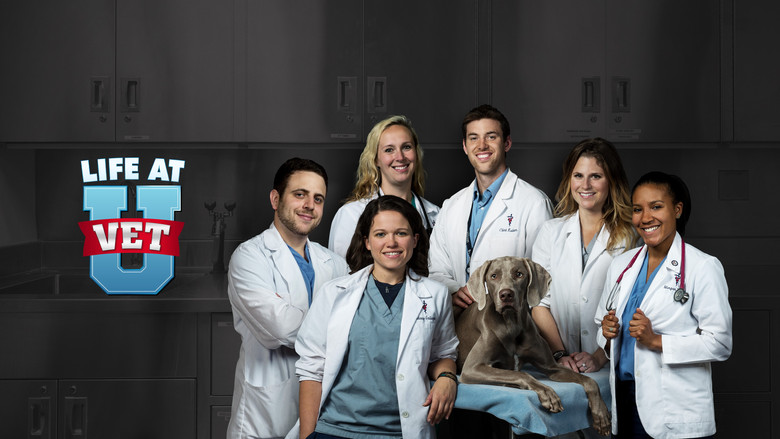 Life at Vet U still