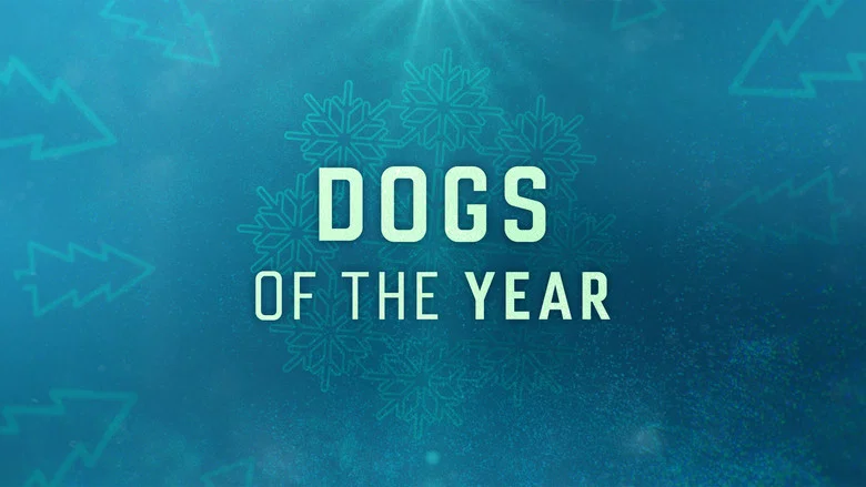 Dogs of the Year still