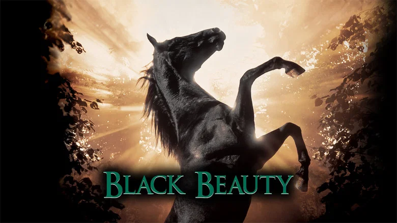 Black Beauty still
