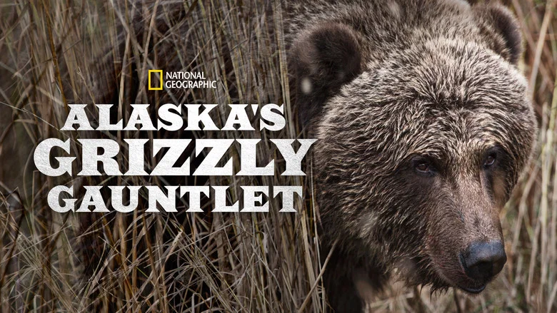 Alaska's Grizzly Gauntlet still