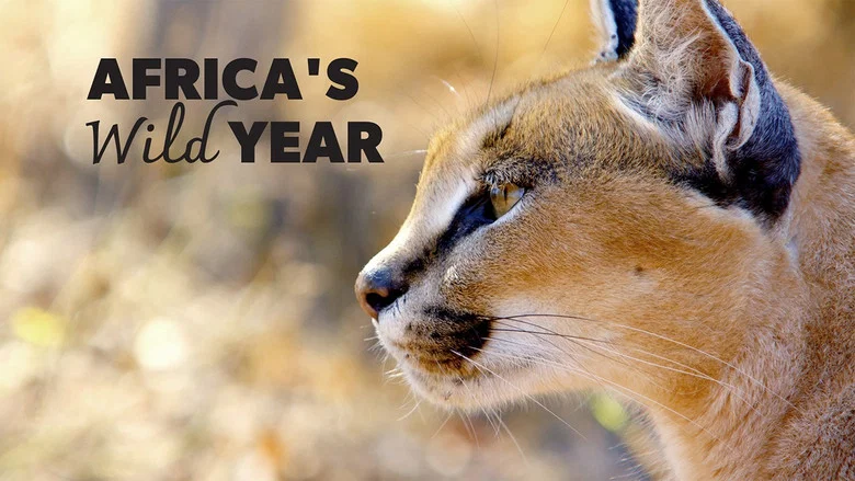 Africa's Wild Year still