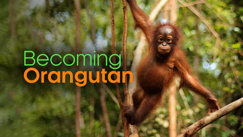 Becoming Orangutan still