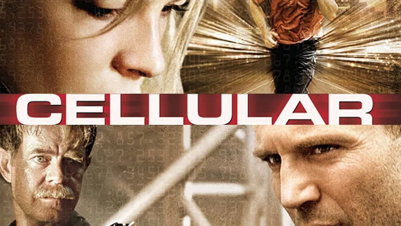 Cellular still