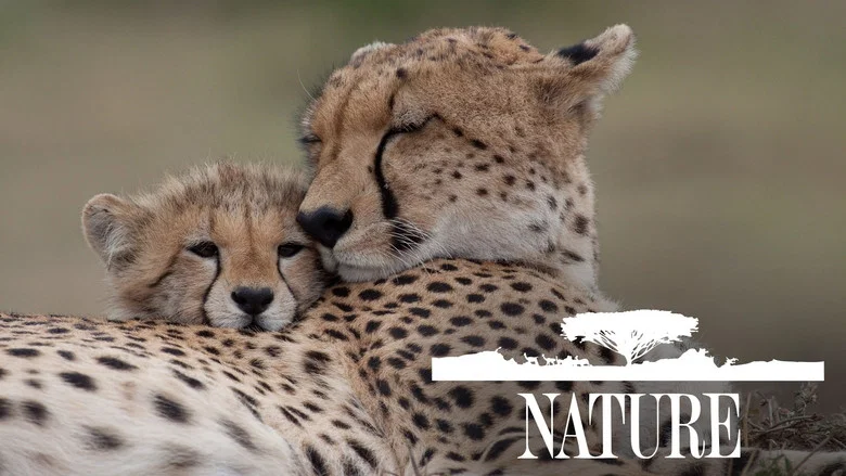 Nature still