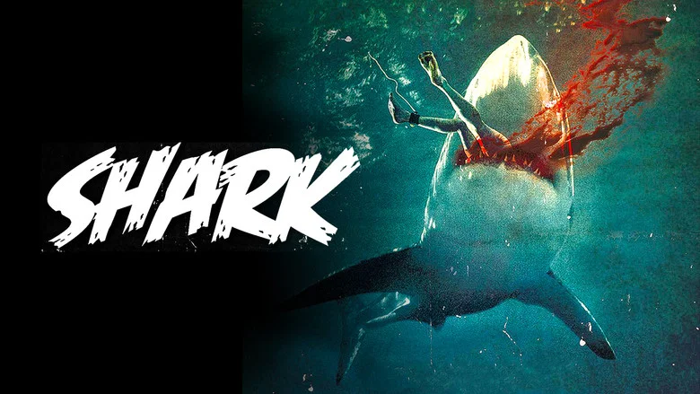 Shark still