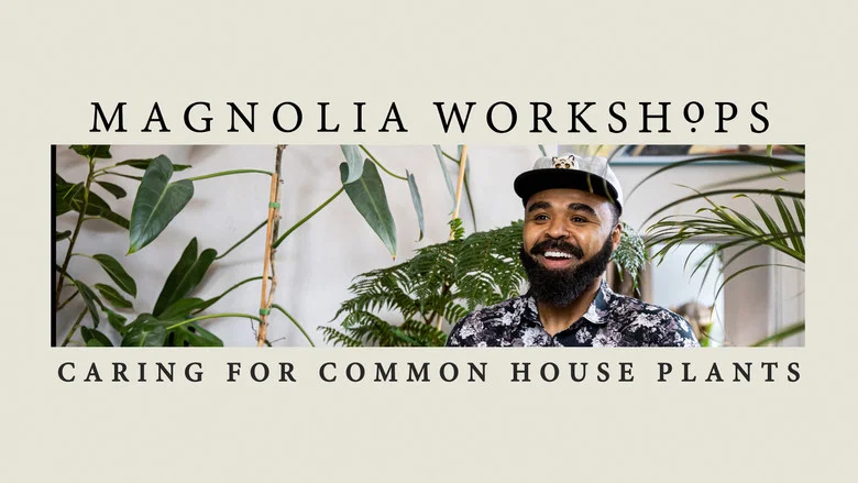 Magnolia Workshops: Caring for Common Houseplants still