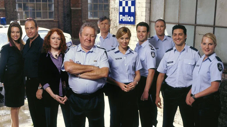 Blue Heelers still