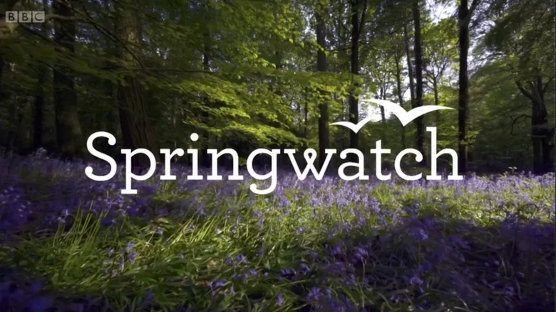 Springwatch still