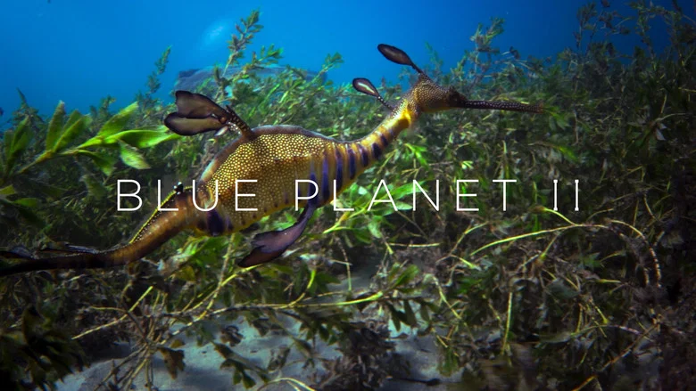 Blue Planet II still