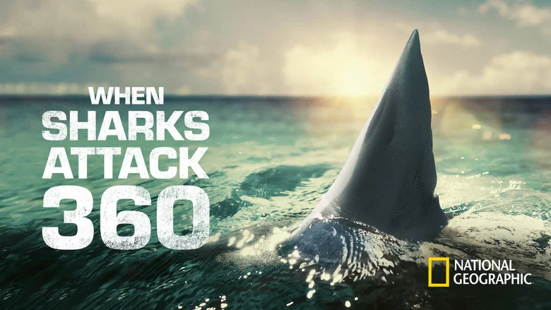When Sharks Attack 360 still