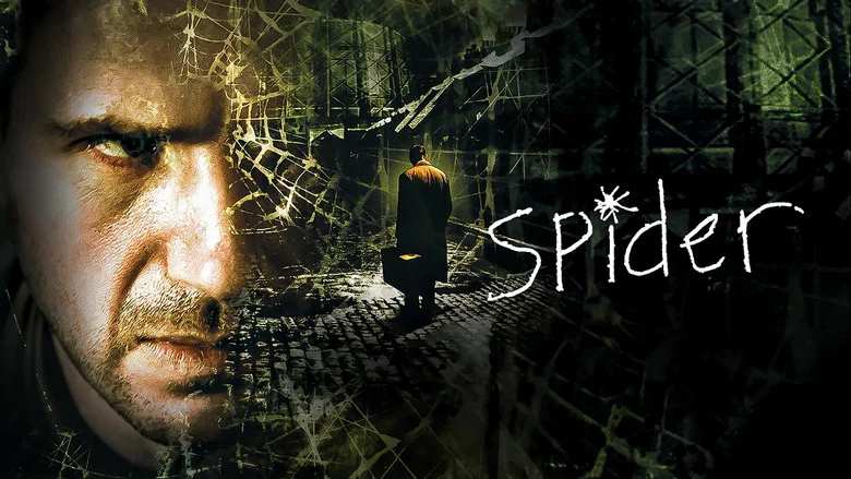 Spider still