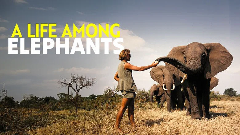 A Life Among Elephants still
