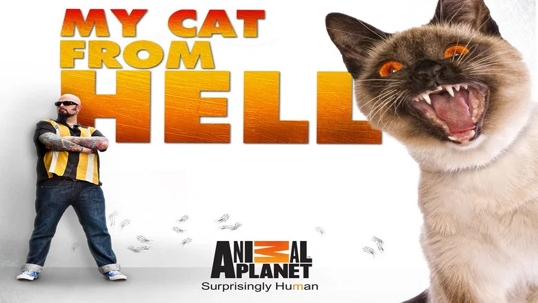 My Cat from Hell still